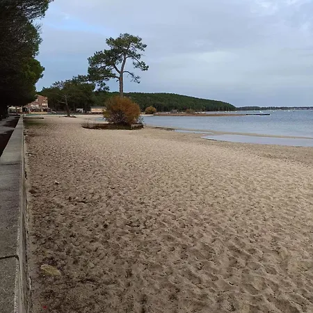 Entre Et Ocean Appartement